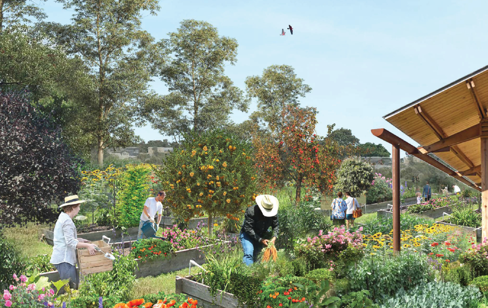 Welcome to Harvest Estate